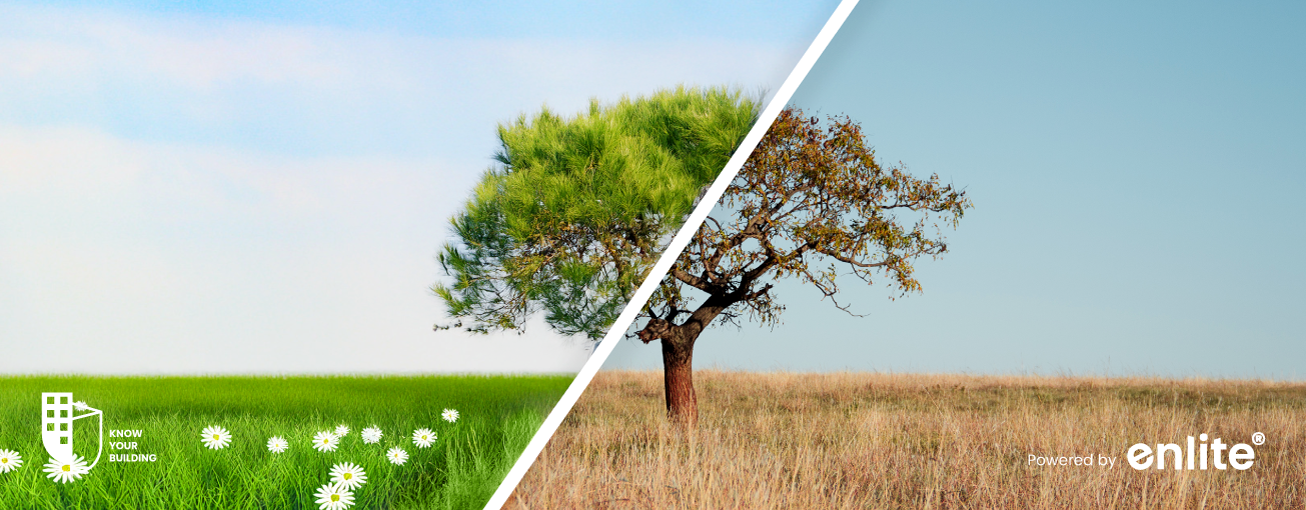 Climate Change: Why Immediate Action Is Imperative